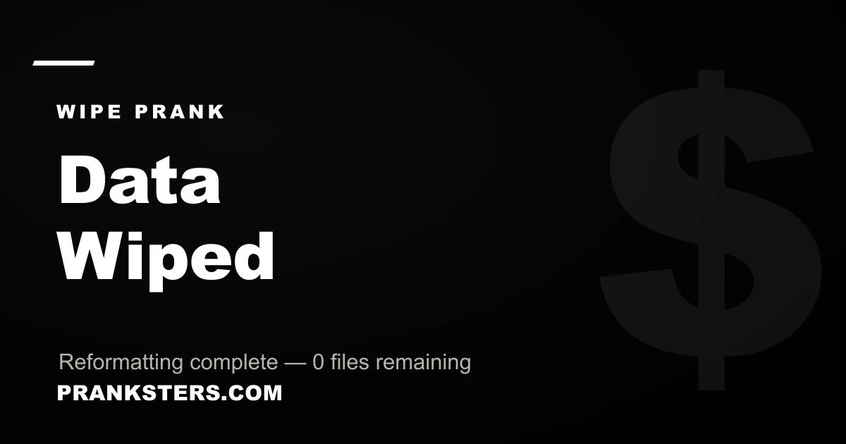 Data Successfully Wiped
